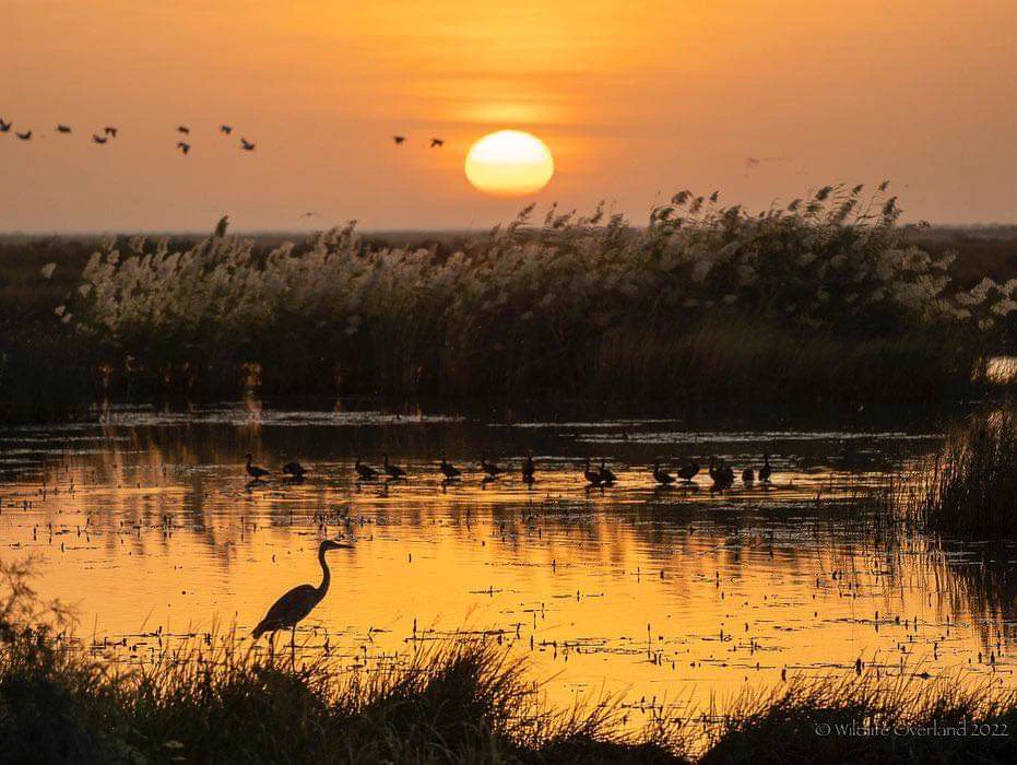 Coucher de soleil sur le Banc d'Arguin, Mauritanie
